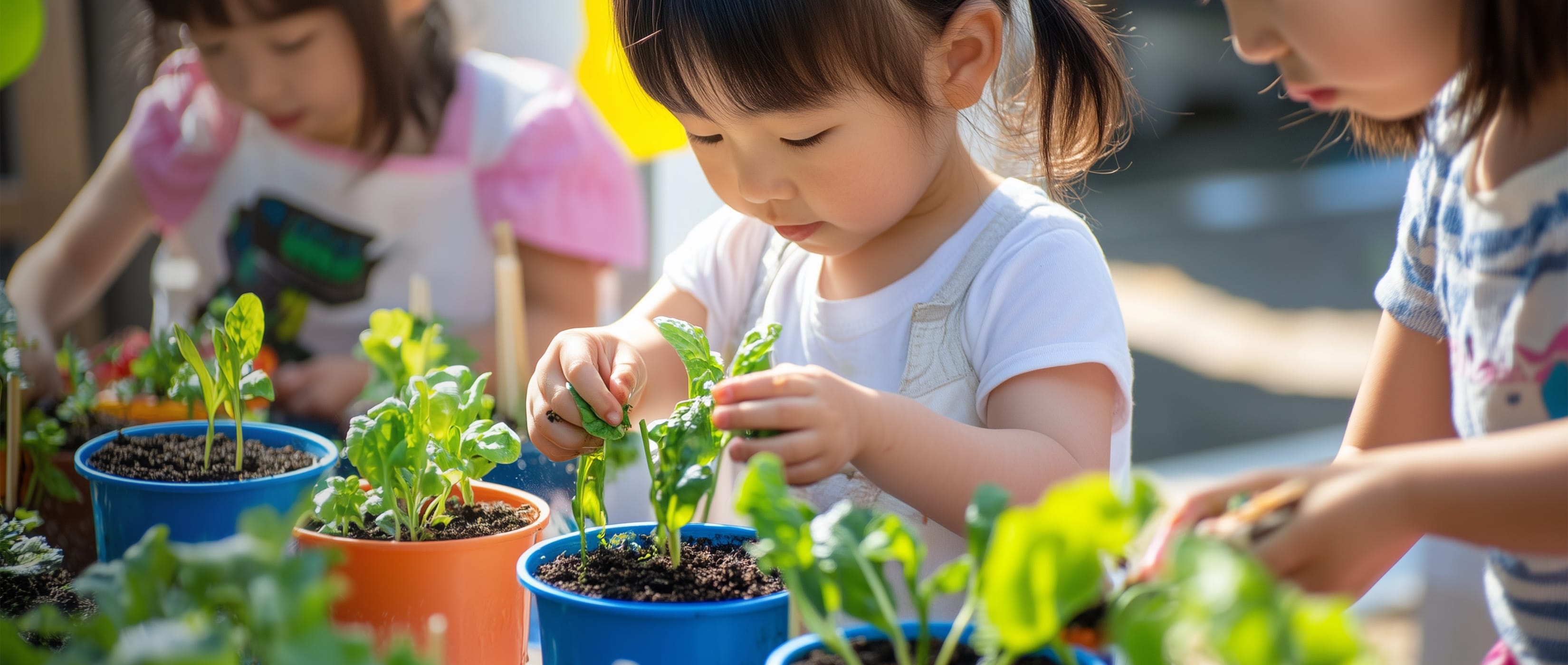個別療育と集団療育